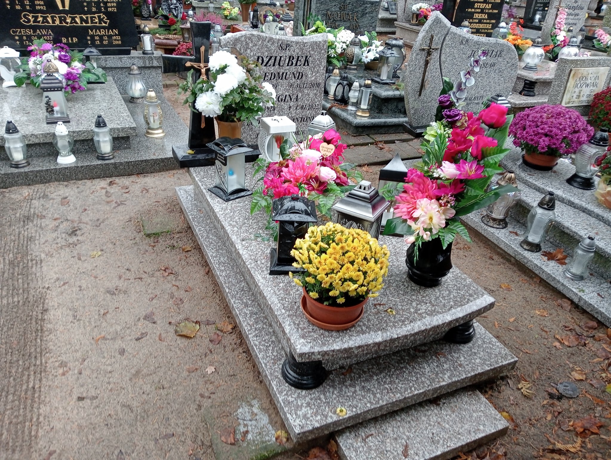 Grób Regina Dziubek