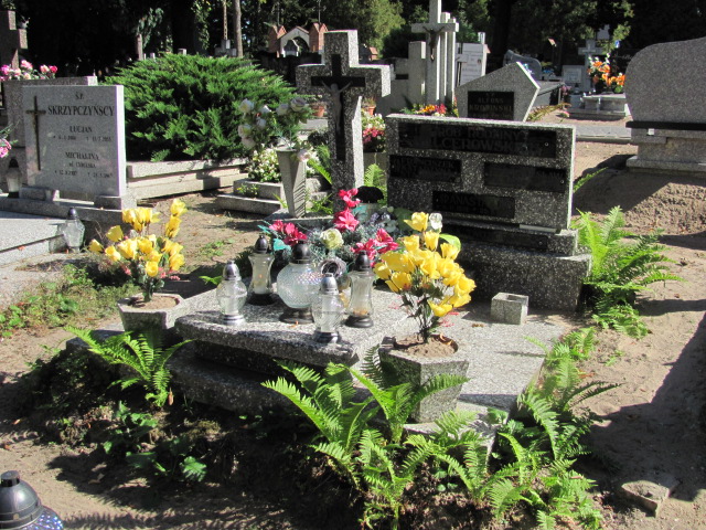 Grób Stanisław  Balcerowski