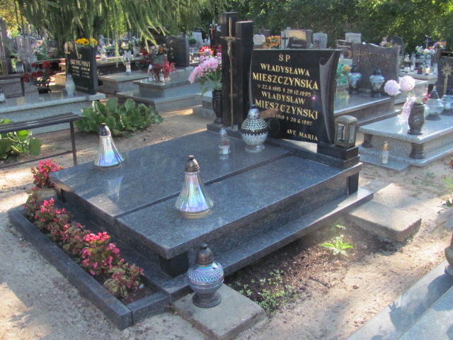 Grób Władysław  Mieszczyński